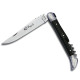 Laguiole knife with corkscrew, Ebony wood handle, 2 stainless steel bolsters, 11 cm with sheat - Image 1204