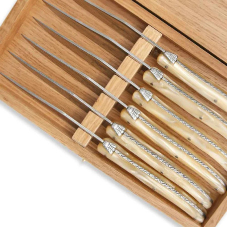 Set of 6 laguiole steak knives champagne color plexiglass handles