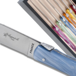 Set of 6 laguiole steak knives plexiglass assorted color handles