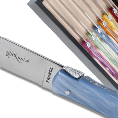 Set of 6 laguiole steak knives plexiglass assorted color handles