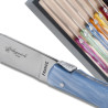 Set of 6 laguiole steak knives plexiglass assorted color handles