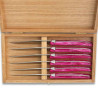 Coffret de 6 couteaux à steak laguiole manche en plexiglas nacré rose