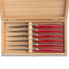 Coffret de 6 couteaux à steak laguiole manche en plexiglas nacré rouge