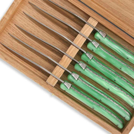 Coffret de 6 couteaux à steak laguiole manche en plexiglas nacré vert