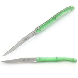 Set of 6 laguiole steak knives green color plexiglass handles