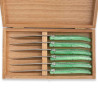 Set of 6 laguiole steak knives green color plexiglass handles