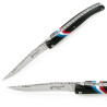 laguiole knife ebony with french flag