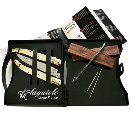 laguiole folding knife kit with 2 brass bolsters