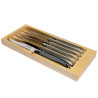 Cutting board with 6 grey laguiole knives
