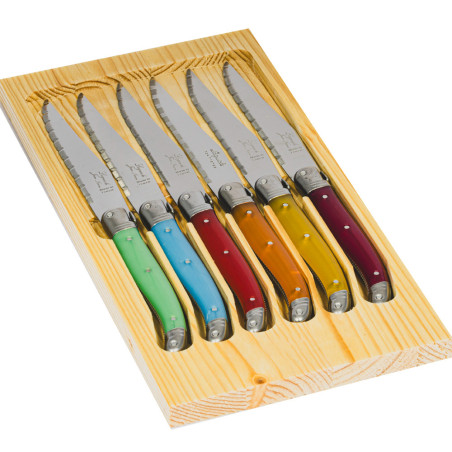 Cutting board with 6 laguiole knives ABS in assorted colors handles