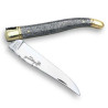 laguiole knife with iron cristallium handle