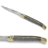 laguiole knife with iron cristallium handle