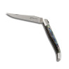 laguiole knife with Abalone handle