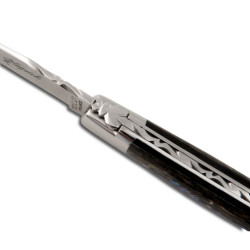 laguiole knife with Abalone handle