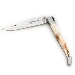 Wild bear laguiole with warthog tooth handle