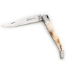 Wild bear laguiole with warthog tooth handle