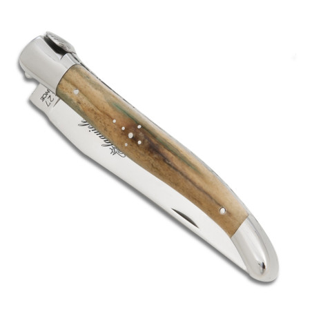 Shell laguiole with giraffe bone handle