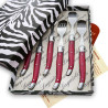 Coffret de  6 fourchettes laguiole ABS de couleur fuschia