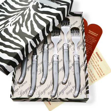 Coffret de  6 fourchettes laguiole ABS de couleur grise