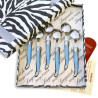 Box of 6 laguiole coffee spoons in blue color