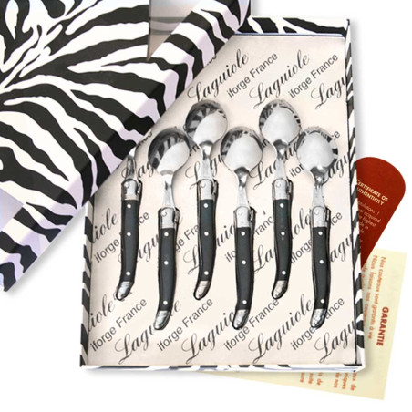 Coffret de 6 Cuillères à café laguiole de couleur noire