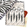Box of 6 black laguiole coffee spoons