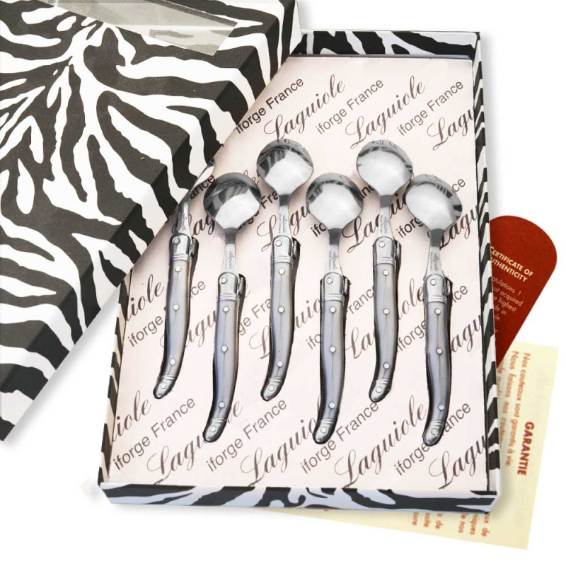 Box of 6 gray laguiole coffee spoons