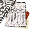 Box of 6 gray laguiole coffee spoons