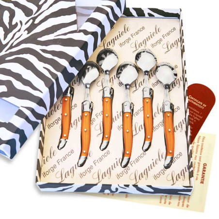 Box of 6 laguiole coffee spoons in orange color