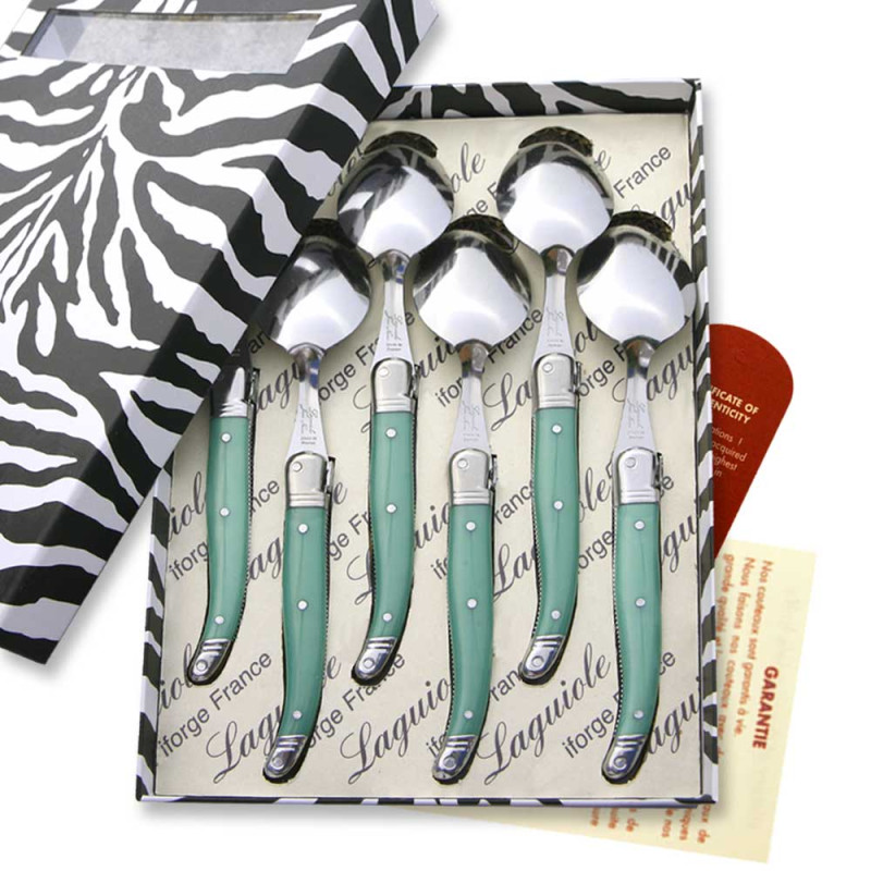 Coffret de 6 cuillères à soupe laguiole ABS de couleur verte
