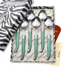 Coffret de  6 cuillères à soupe laguiole ABS de couleur verte