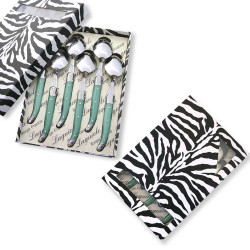 Coffret de  6 cuillères à soupe laguiole ABS de couleur verte