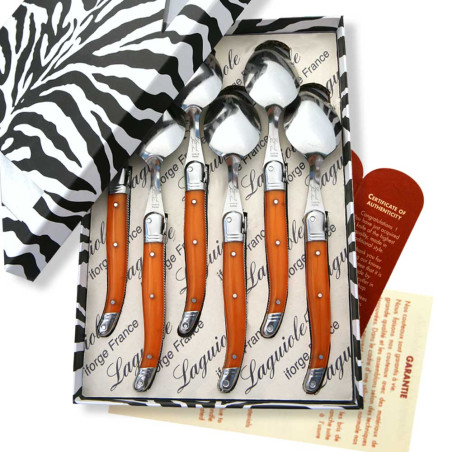 Box of 6 laguiole ABS orange soup spoons