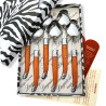 Box of 6 laguiole ABS orange soup spoons