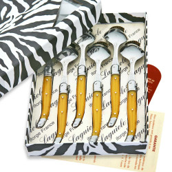 Coffret de  6 cuillères à soupe laguiole ABS de couleur jaune