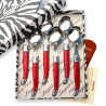 Box of 6 laguiole ABS red soup spoons
