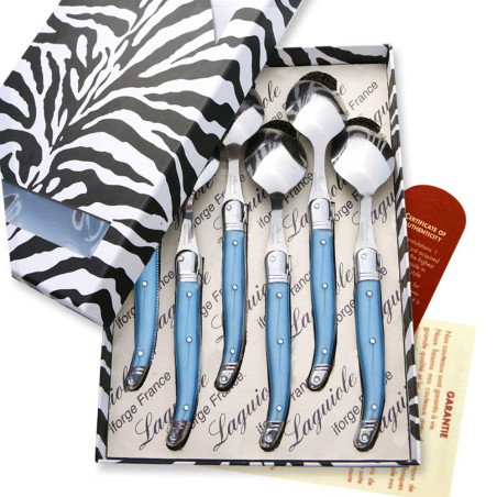 Box of 6 blue ABS laguiole soup spoons