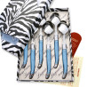 Box of 6 blue ABS laguiole soup spoons