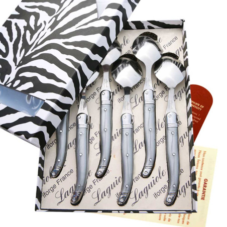 Box of 6 gray laguiole ABS soup spoons