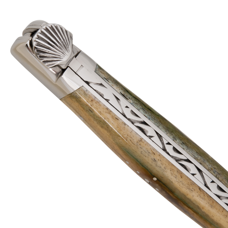 Pilgrim of saint jacques laguiole knife with shell and bone handle