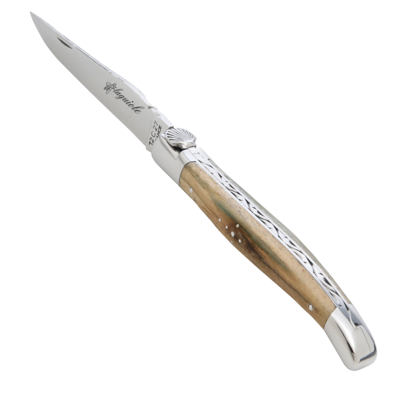 Pilgrim of saint jacques laguiole knife with shell and bone handle