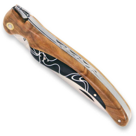 Laguiole bird knife with olive wood and acrylic handle - Image 1997