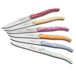Set of 6 laguiole steak knives plexiglass assorted color handles