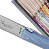 Coffret 6 couteaux steak Laguiole en plexi nacré assorti