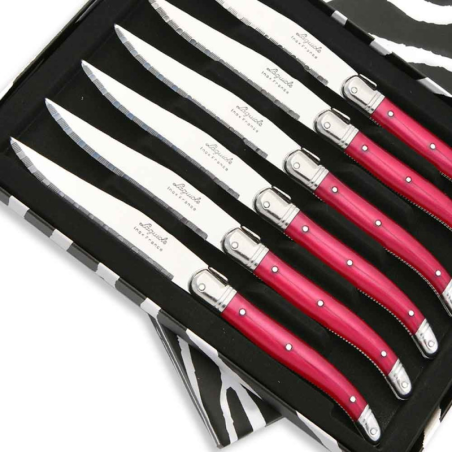 Coffret de 6 Couteaux à steak Laguiole ABS de couleur fuschia