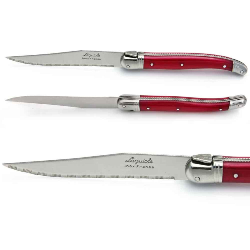 Coffret 4 Couteaux à Steak Laguiole Manche Titane - 23.2x2 Cm, Tarrerias Bonjean, Neuf