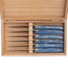 Coffret de 6 couteaux à steak Laguiole manche en plexiglas nacré bleu