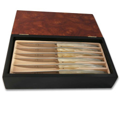 Coffret de 6 couteaux Thiers en plexiglass nacré blanc