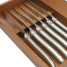 Coffret de 6 couteaux steak Laguiole de table Avantage inox finition brillante