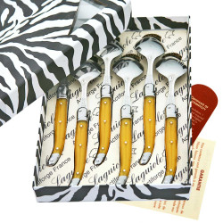 Coffret de  6 cuillères à soupe Laguiole ABS de couleur jaune